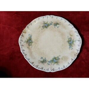 Vintage Argosy W S George Ivory Serving Plate With Blue Floral Pattern